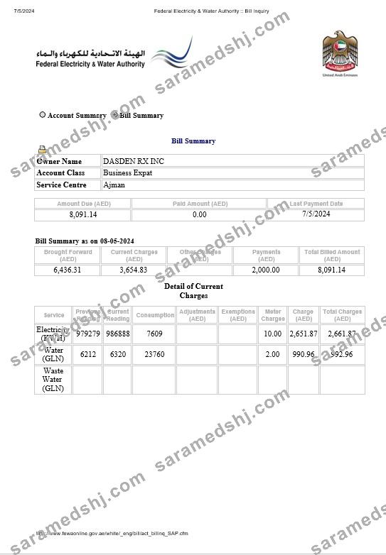 UAE Dubai Federal Electricity & Water Authority electricity, water business utility bill Word and PDF formats